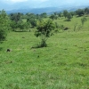 FINCA TAMESIS SUROESTE Cod. FC-0110